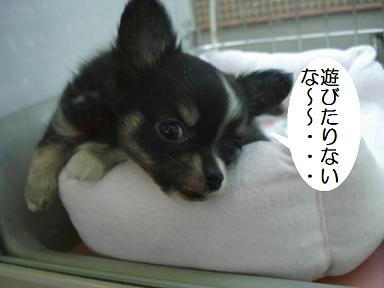DSC01786.JPG