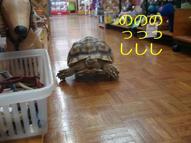 d238132a.jpeg