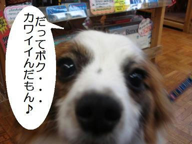 DSC01867.JPG