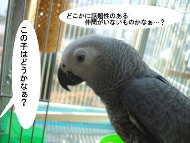 DSC01649.JPG