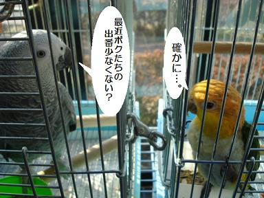DSC01650.JPG