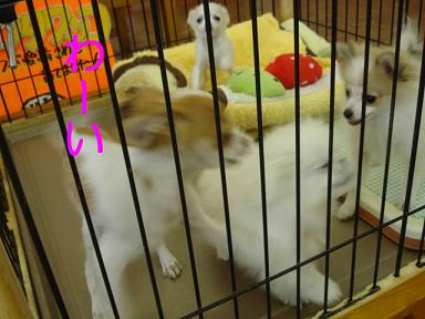 DSC02189.JPG