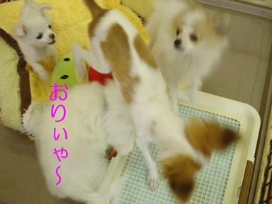 DSC02234.JPG