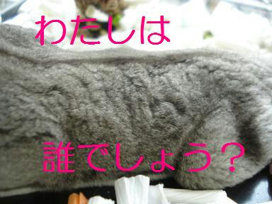 DSC02248.JPG