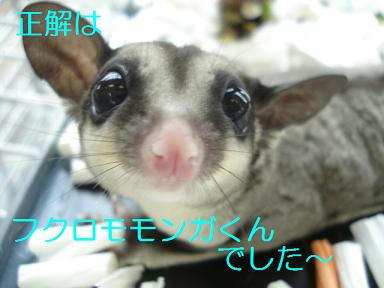 DSC02249.JPG