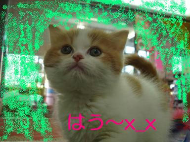 DSC02752.JPG