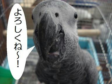 DSC02776.JPG