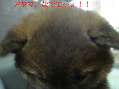 DSC02811.JPG