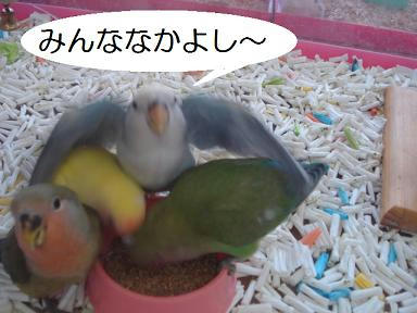 DSC02716.JPG