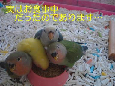 DSC02717.JPG