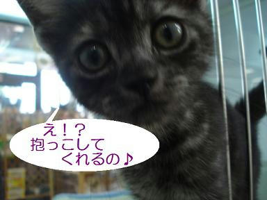 DSC02890.JPG