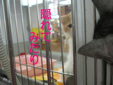 DSC02862.JPG