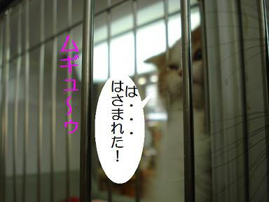 DSC02880.JPG