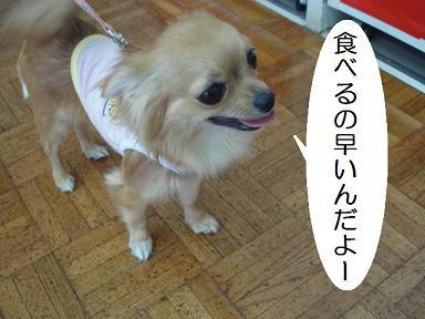 DSC03616.JPG