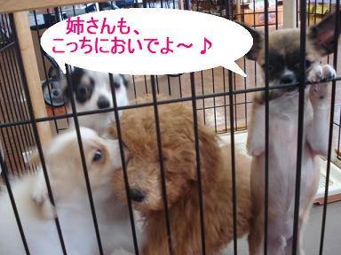 DSC03659.JPG