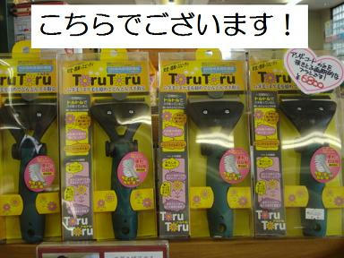 DSC03715.JPG