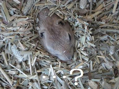 DSC03679.JPG
