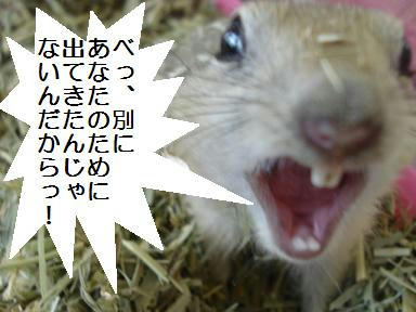 DSC03683.JPG