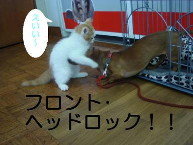 DSC03895.JPG