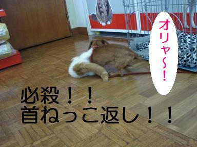 DSC03894.JPG