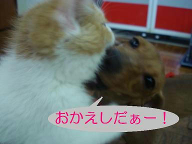 DSC03928.JPG