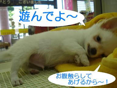 DSC03986.JPG