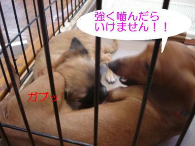 DSC04094.JPG