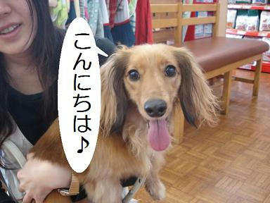 DSC04132.JPG
