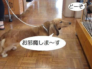 DSC04134.JPG