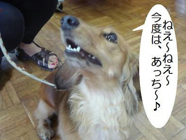 DSC04147.JPG