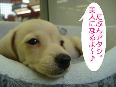 DSC04183.JPG