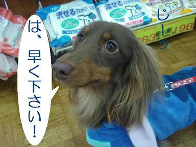 DSC04228.JPG