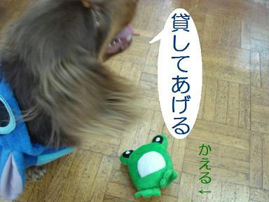 DSC04251.JPG