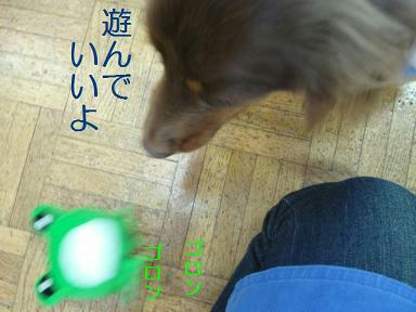 DSC04249.JPG