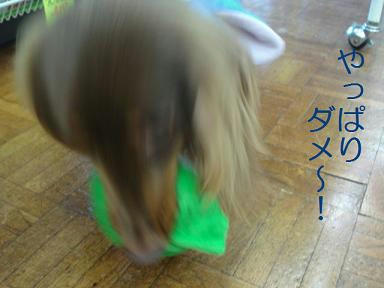 DSC04250.JPG