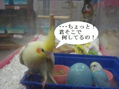DSC04348.JPG
