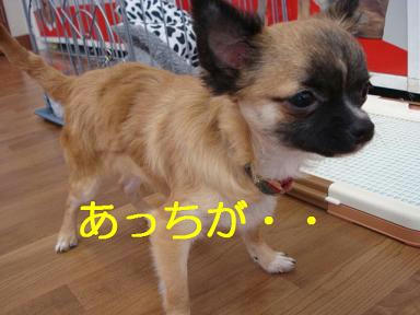 DSC04459.JPG