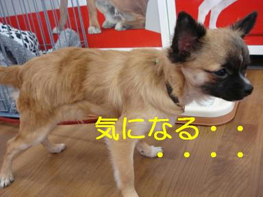 DSC04460.JPG