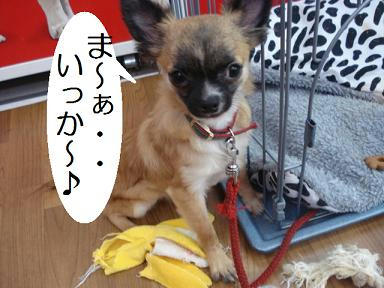 DSC04488.JPG