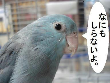 DSC04423.JPG
