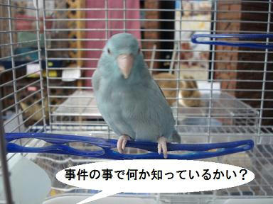 DSC04426.JPG