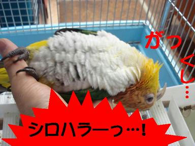 DSC03751.JPG