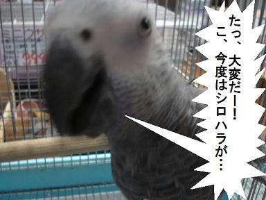 DSC03754.JPG