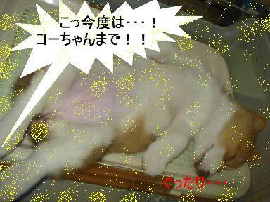 DSC04121.JPG