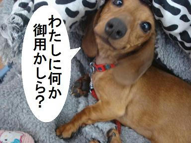 DSC04152.JPG