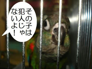DSC04309.JPG