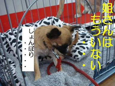 DSC04536.JPG