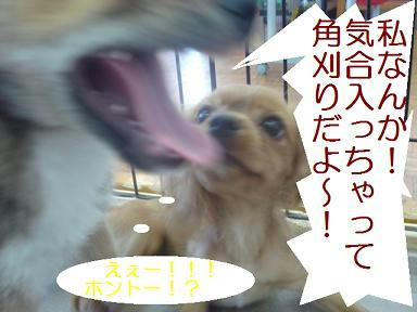 DSC04869.JPG