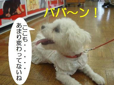 DSC04846.JPG
