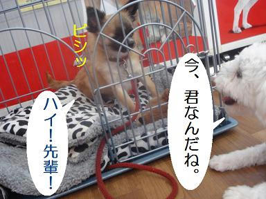 DSC04853.JPG